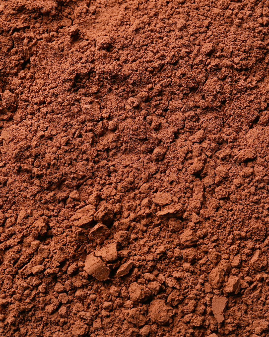 Raw Organic Cacao