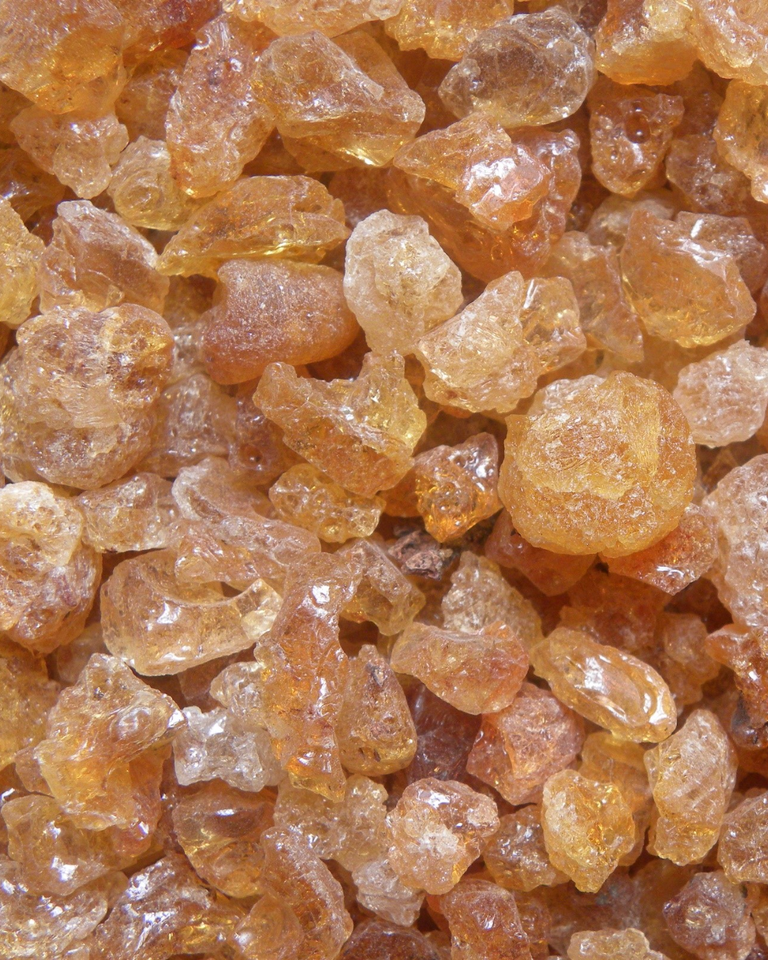 prebiotic fibre