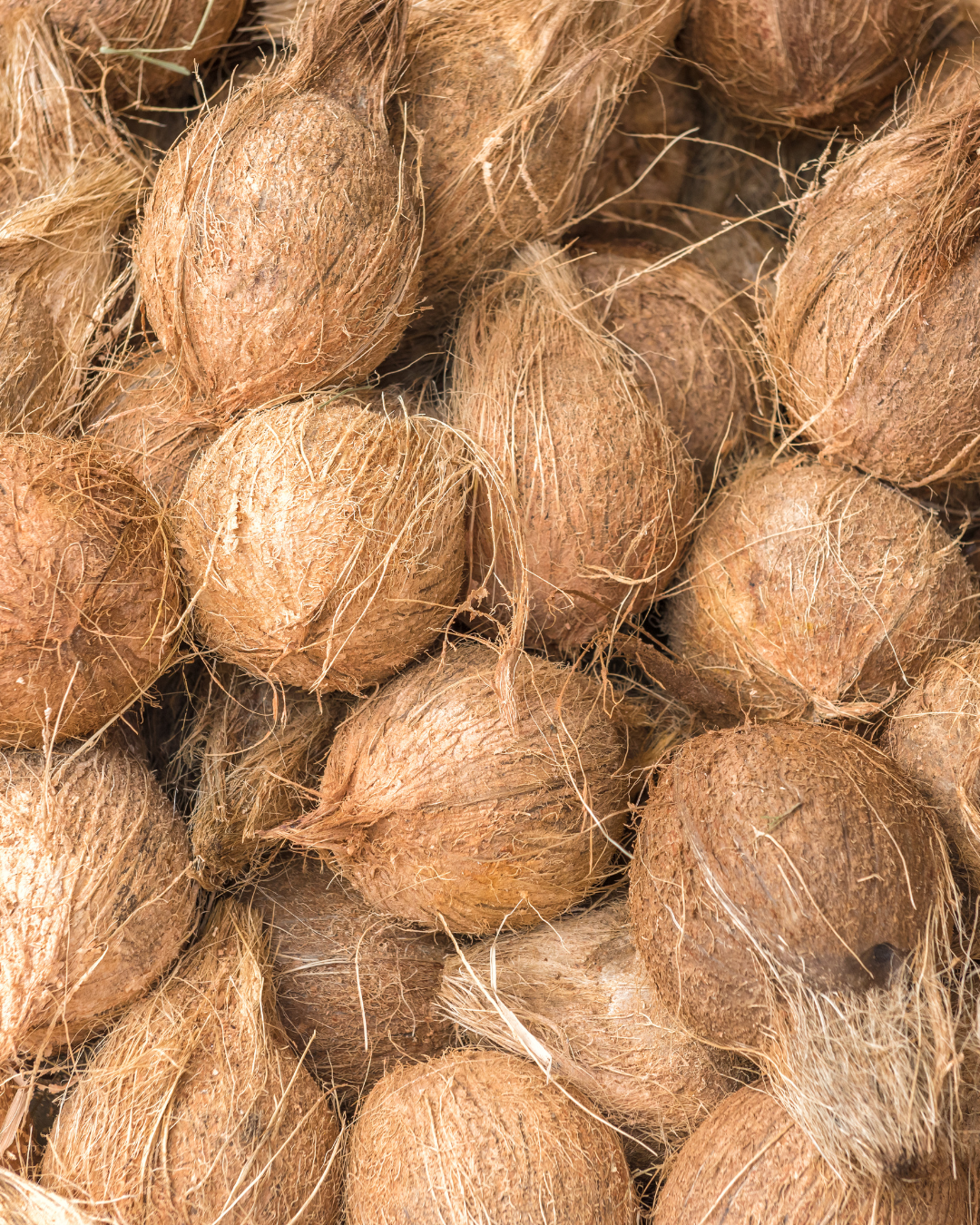 organic coconut milk powder